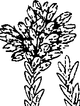 064/064340010100370_0.png