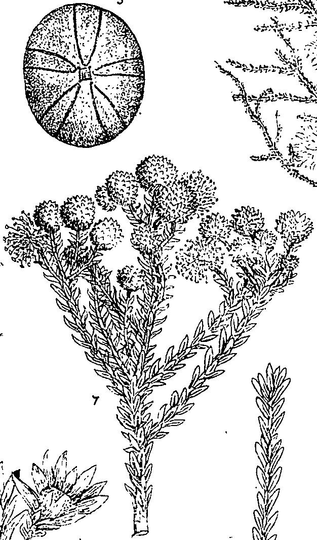064/064340010100370_1.png