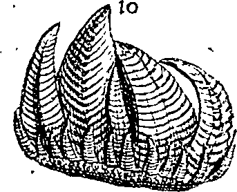 064/064340010100380_0.png