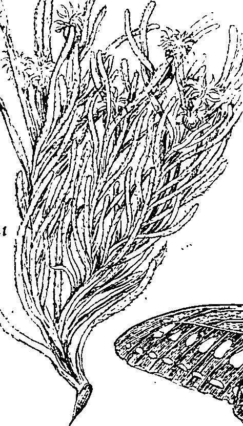 064/064340010100380_1.png