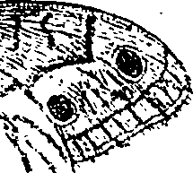 064/064340010100390_0.png