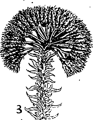 064/064340010100390_1.png