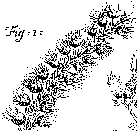 064/064340010100390_2.png