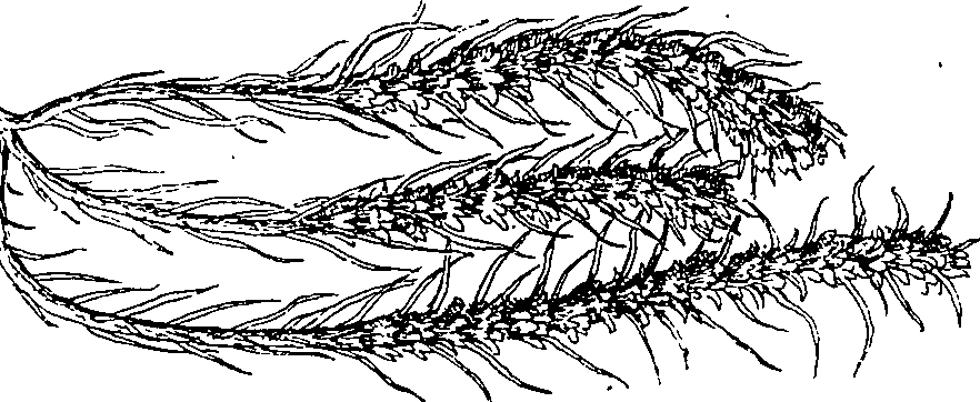 064/064340010100400_0.png