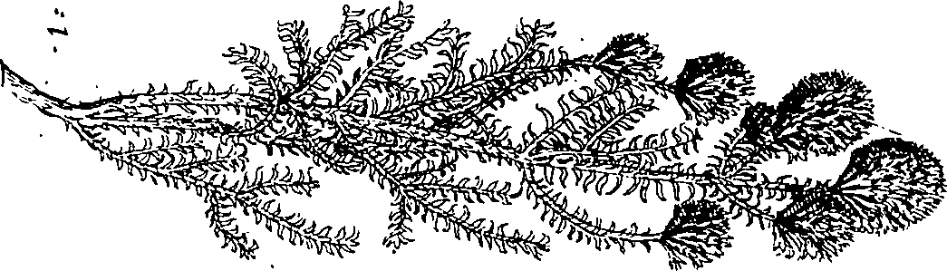 064/064340010100400_3.png