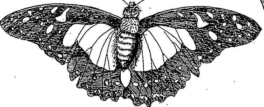 064/064340010100410_1.png