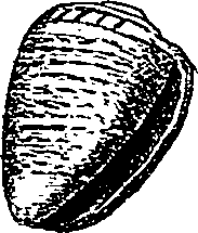 064/064340010100470_0.png