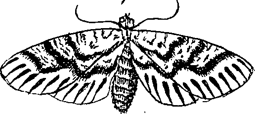 064/064340010100480_1.png
