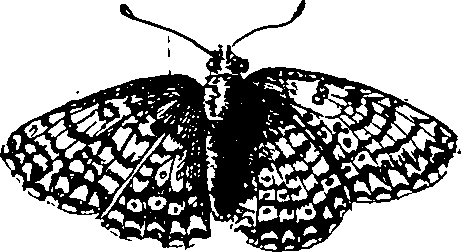 064/064340010100500_0.png