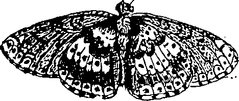 064/064340010100500_1.png