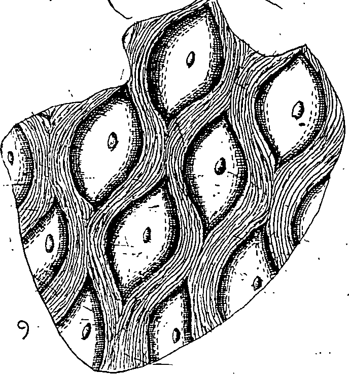 064/064340010100500_2.png