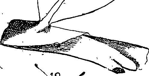 064/064340010100500_3.png