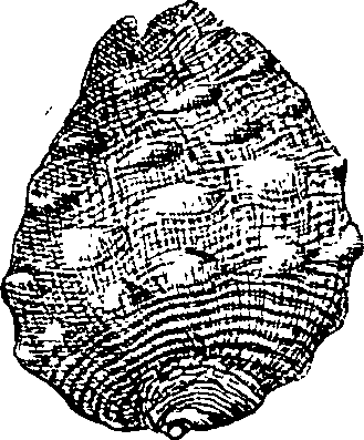 064/064340010100510_0.png
