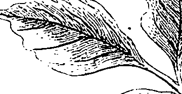 064/064340010100510_2.png