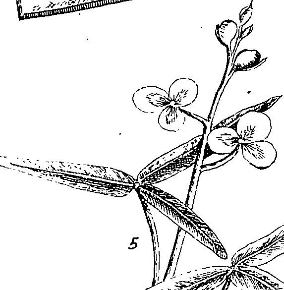 064/064340010100510_3.png