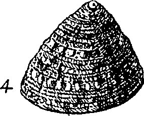 064/064340010100520_2.png