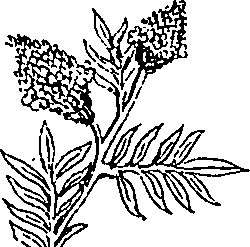 064/064340010100520_4.png