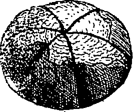 064/064340010100540_3.png