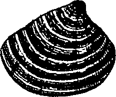 064/064340010100560_3.png