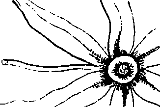 064/064340010100560_4.png