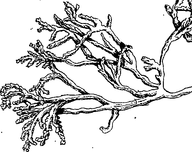 064/064340010100590_0.png