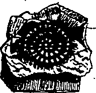 064/064340010100600_0.png
