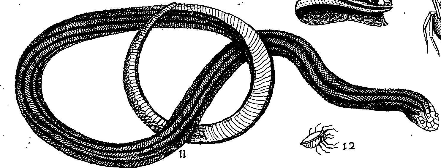 064/064340010100610_0.png