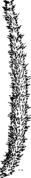 064/064340010100640_0.png