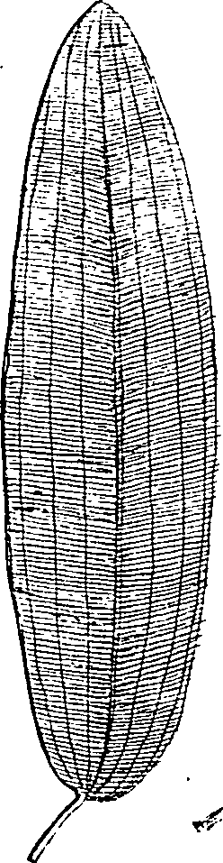 064/064340010100640_1.png