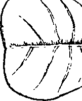 064/064340010100650_4.png