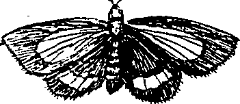 064/064340010100650_5.png