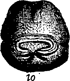 064/064340010100660_0.png