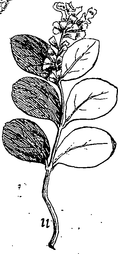 064/064340010100660_1.png