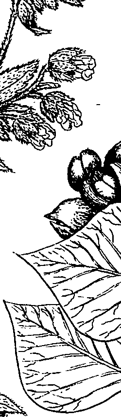 064/064340010100660_2.png