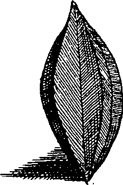 064/064340010100690_0.png