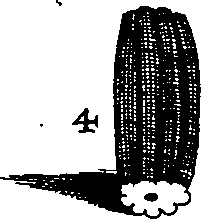 064/064340010100700_2.png