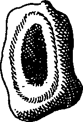 064/064340010100710_0.png