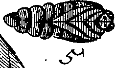 064/064340010100750_1.png
