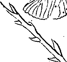 064/064340010100760_0.png