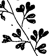 064/064340010100790_1.png