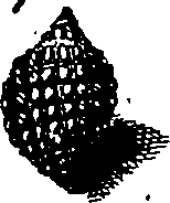 064/064340010100800_0.png