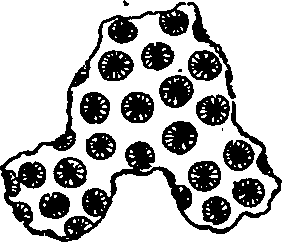 064/064340010100800_1.png