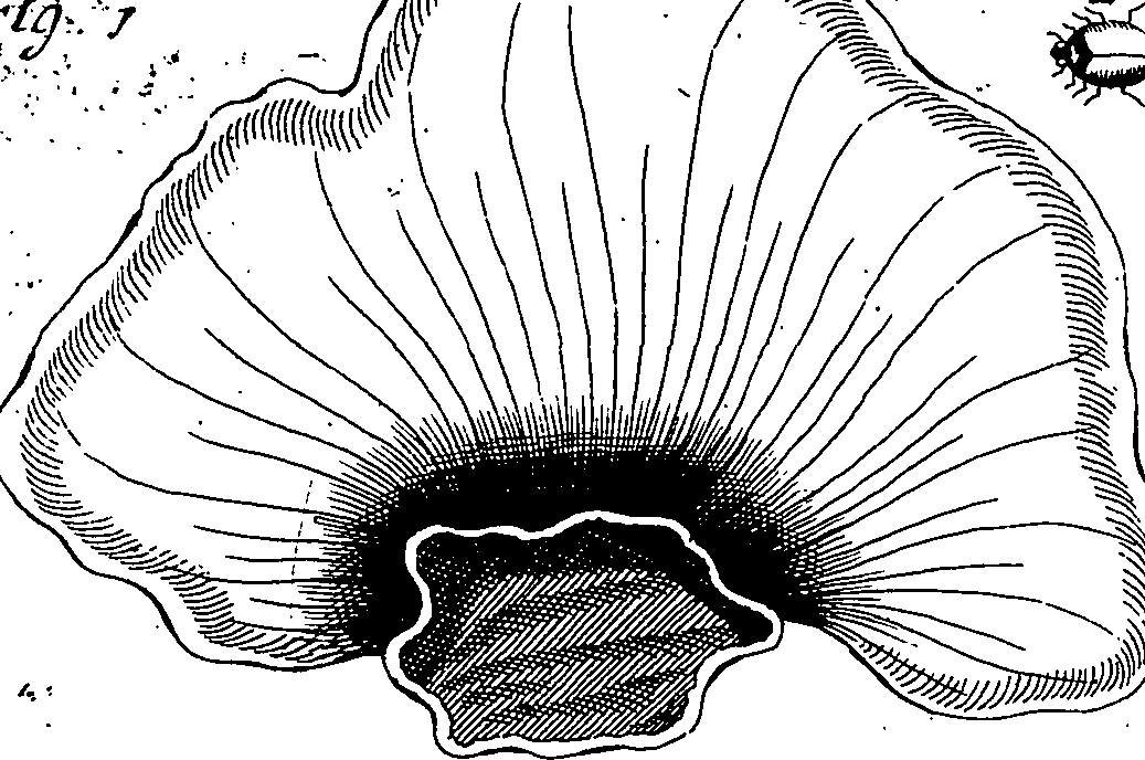 064/064340010100800_2.png