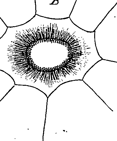 064/064340010100820_0.png