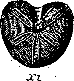 064/064340010100830_0.png