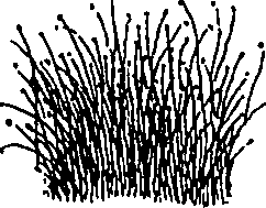 064/064340010100830_2.png