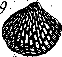 064/064340010100840_0.png