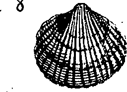 064/064340010100840_2.png