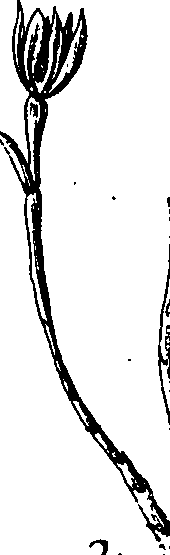 064/064340010100840_3.png