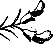 064/064340010100840_4.png
